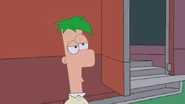 Ferb Fletcher