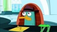 Perry is sad.