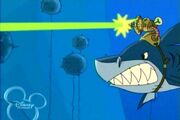 Shark with laser beam