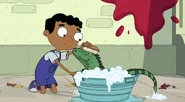 Baljeet cleans an Iguana