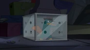 NOTLP-401-Perry trying to escape.jpg (198 KB)