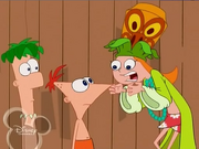 ERROR Phineas shorts are plain orange