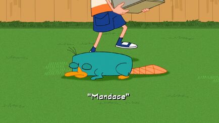 Click here to view more images from "Mandace".