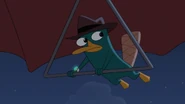 NOTLP-544-Perry looking back.jpg (188 KB)