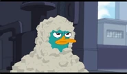 Perry trapped in foam.