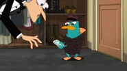 Perry texting.jpg (244 KB)