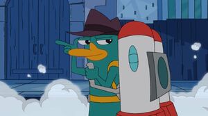 Gallery Perry The Platypus Season 1 Phineas And Ferb Wiki Fandom