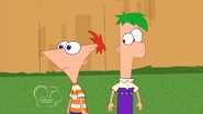 Phineas and Ferb are confused.