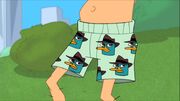 Doof's Agent P underwear