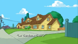 Clicca qui per vedere le immagini di Il Candace-cabra.