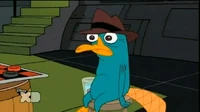 Perry alt