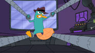 Perry in Doofenshmirtz's trap.