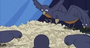 They eat the popcorn kernels