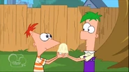 Ferb uses a blanket on the egg