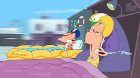 "Thảo nào mấy con chó cứ thích thò đầu ra khỏi xe!"