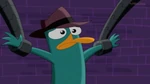 D-D-D-Do I stutter? (Perry is frightended beyond all reason)