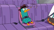 Agent P trapped in a baby seat inside Dr. Doofenshmirtz car