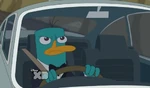 Lald007 Perry driving 3.png (446 KB)