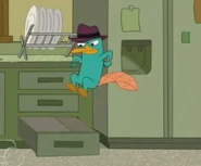 Secret Entrance of the day