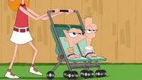Phineas and Ferb fall asleep