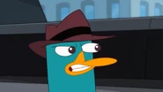Perry chatters to awaken Doofenshmirtz, who wonders...