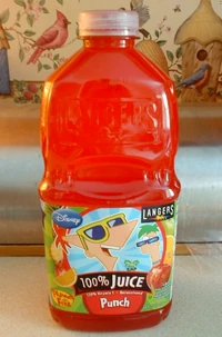 Langersjuice