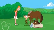 Building a Horse.png (674 KB) Phineas building a Horse