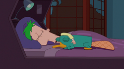 Ferb sleeping with Perry