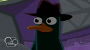 Perry realizes that Doofenshmirtz has been taken to Seattle
