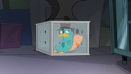 NOTLP-259-Perry still trapped.jpg (220 KB)