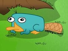 Thú Mỏ Vịt Perry | Phineas And Ferb Wiki Tiếng Việt | Fandom