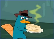 Perry is not sure how he will like it...