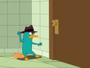 Ferb Latin3.png (502 KB)