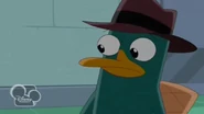 Perry shocked