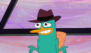 Perry lol