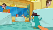 Perry spies on Doof's date