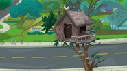 Candace's old tree house.