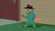 Perry impersonates Candace