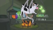 He milks the cow for the cheese.