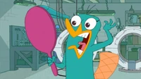 Candace the Platypus.png