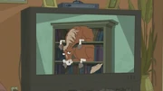 Horse in a Bookcase