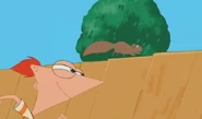 Phineas racing a squirrel.png (311 KB)