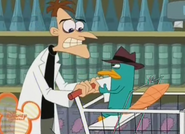 Perry and doof at store