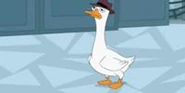 gary the gander