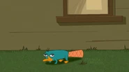 NOTLP-14-Perry by the house.jpg (217 KB)
