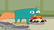 Shocked Perry 2.jpg (75 KB)