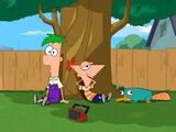 Phineas and Ferb