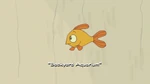 Backyard Aquarium title card.jpg (57 KB) Title card before Phineas appears