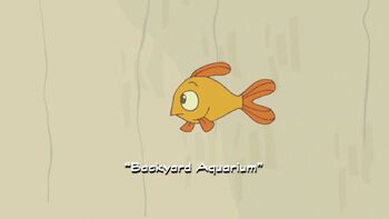 Backyard Aquarium title card