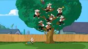 Introducing the amazing Mariachi Tree!